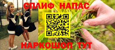 СК Ижевск