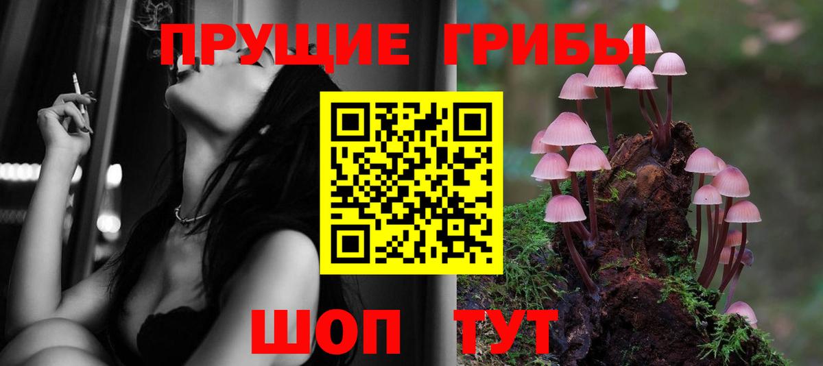 Псилоцибиновые грибы мицелий  Вход с VPN  Гусь-Хрустальный 